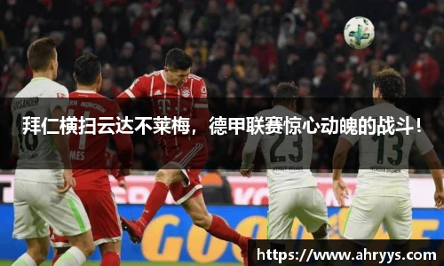 中欧体育